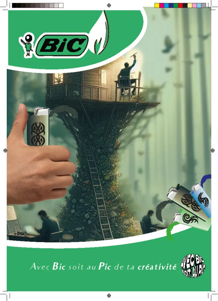 Briquet (1).webp